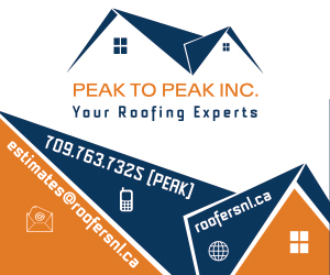 Peak to Peak Inc